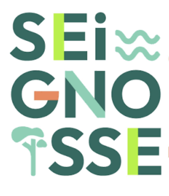 Seignosse